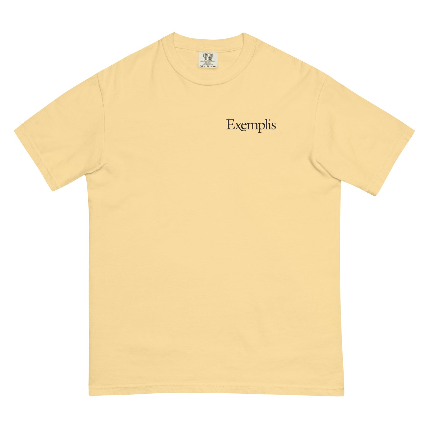 Unisex Garment-dyed Heavyweight Tee