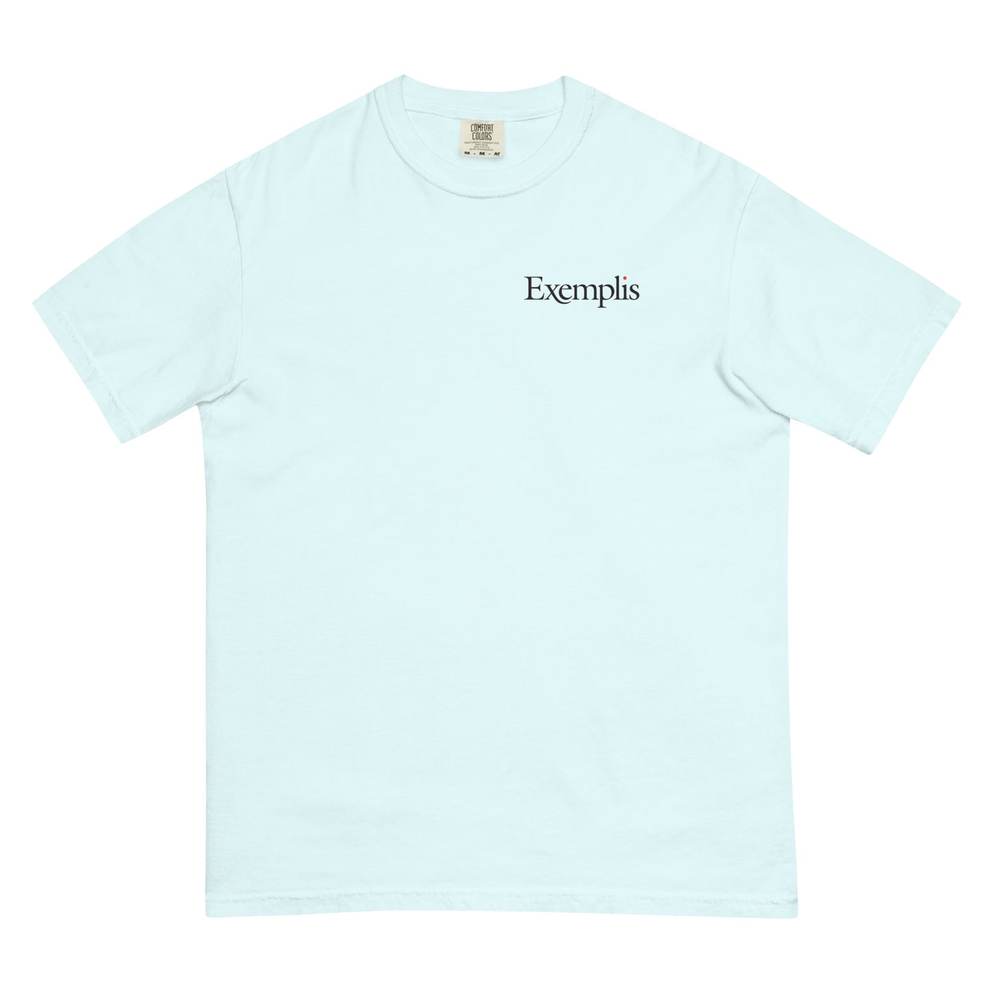 Unisex Garment-dyed Heavyweight Tee