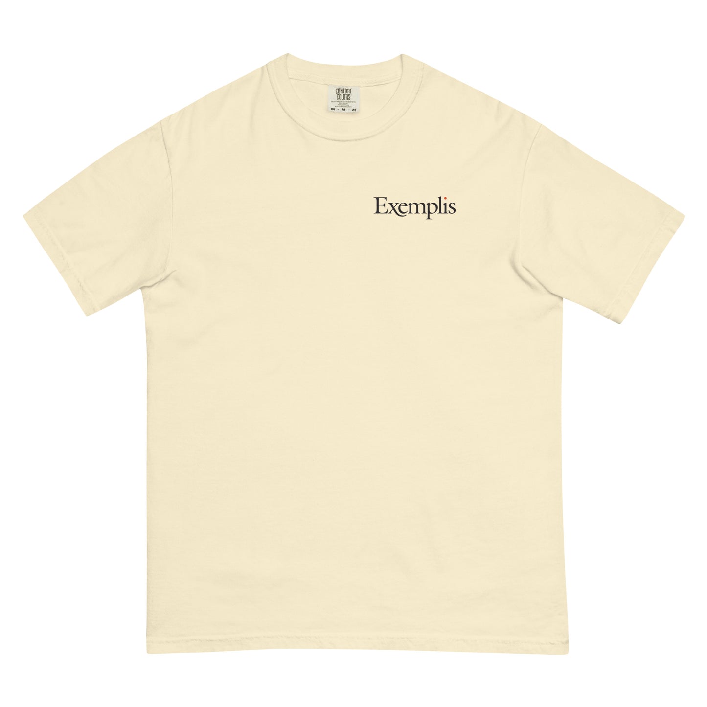 Unisex Garment-dyed Heavyweight Tee
