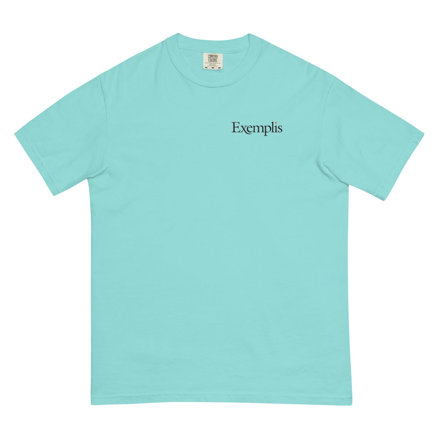 Unisex Garment-dyed Heavyweight Tee