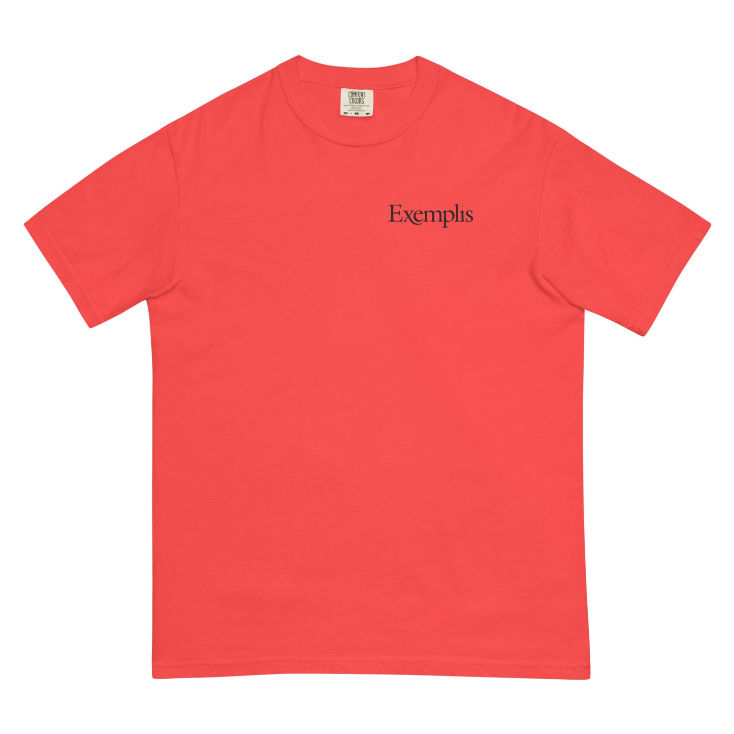 Unisex Garment-dyed Heavyweight Tee