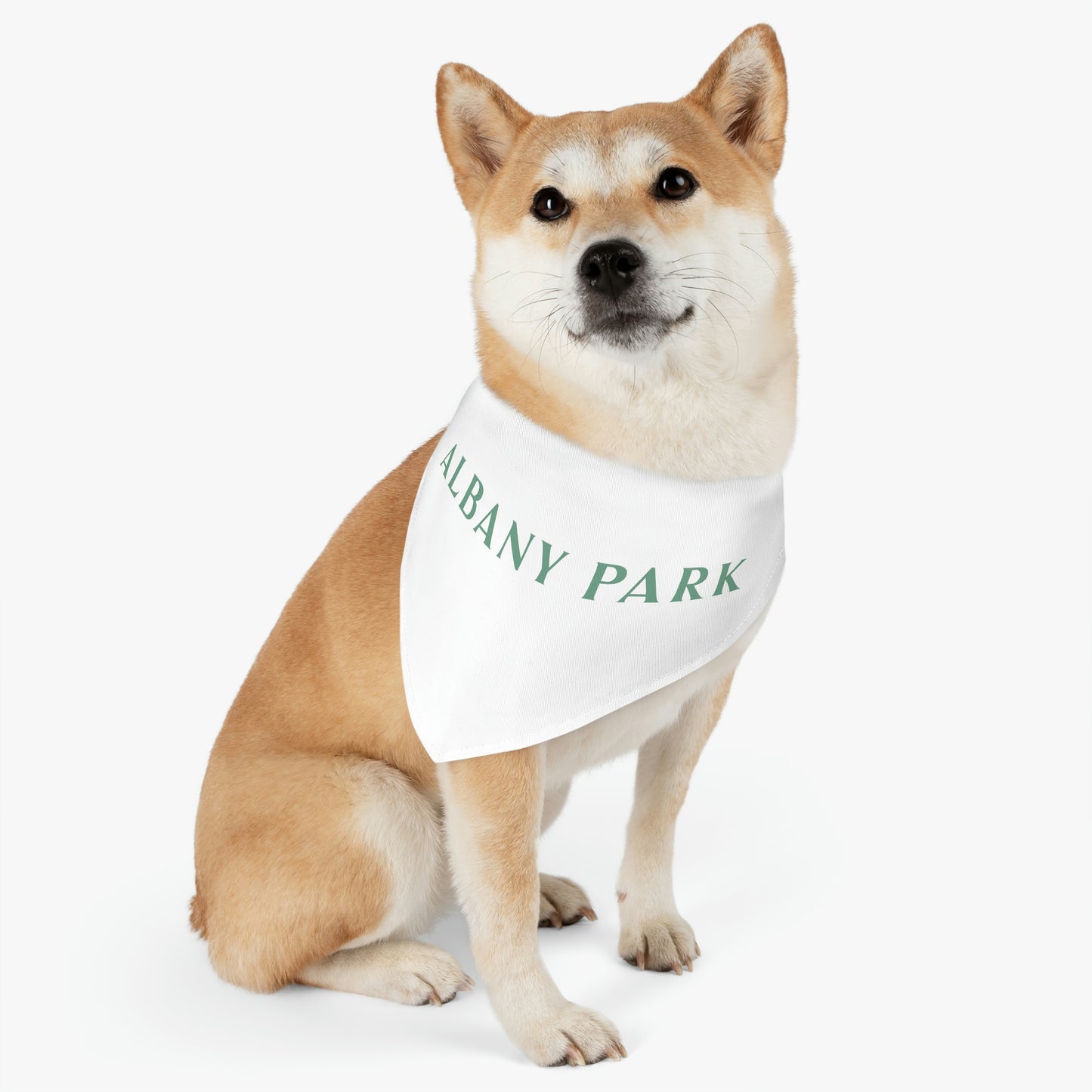 Pet Bandana Collar