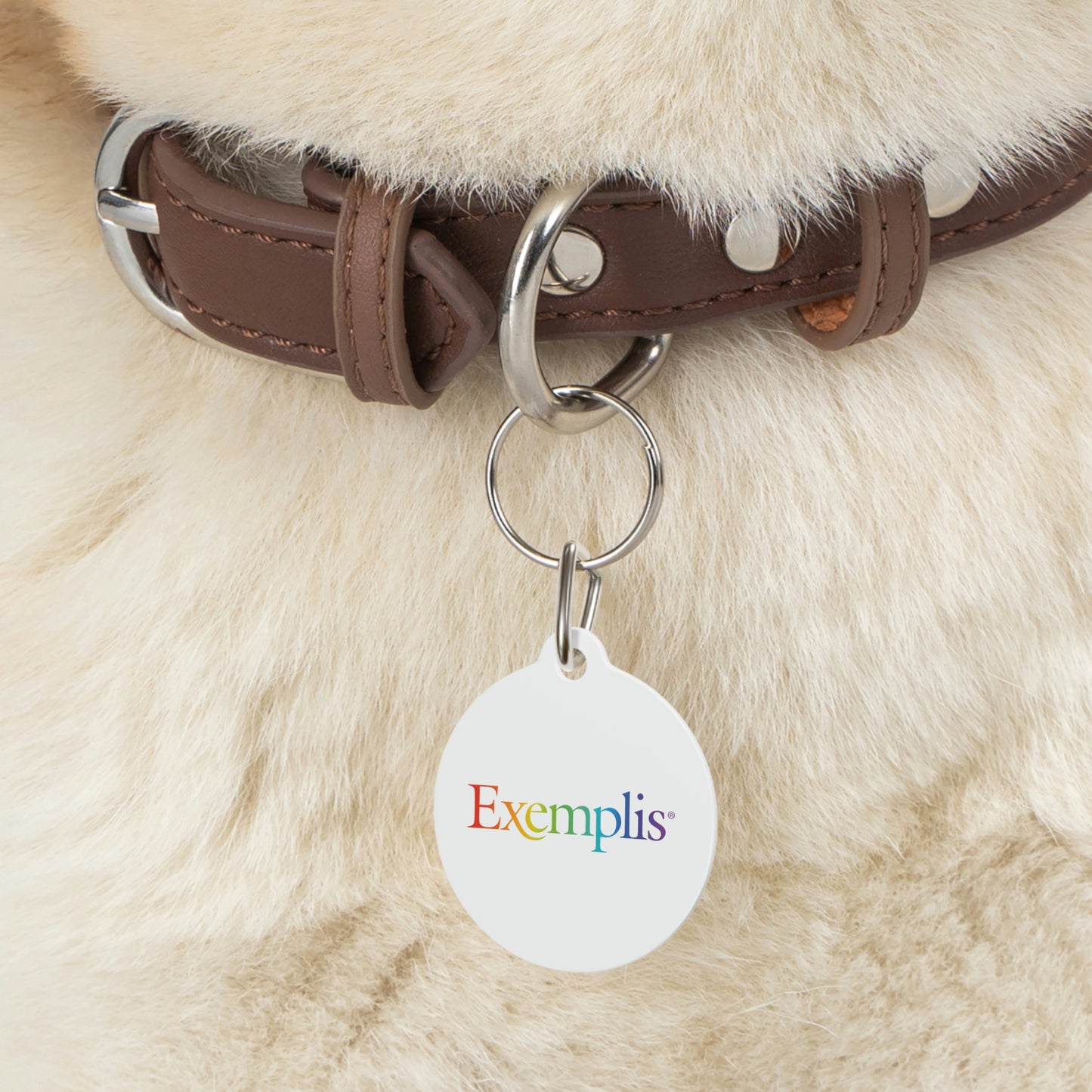 Pet Tag (Pride)