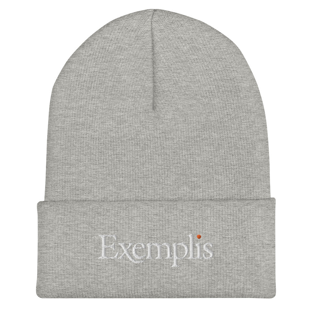 Winter Beanie