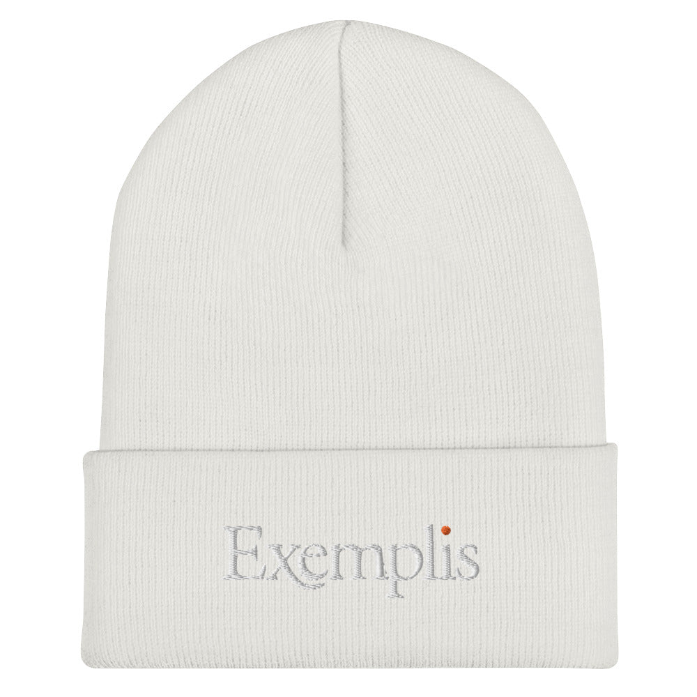 Winter Beanie